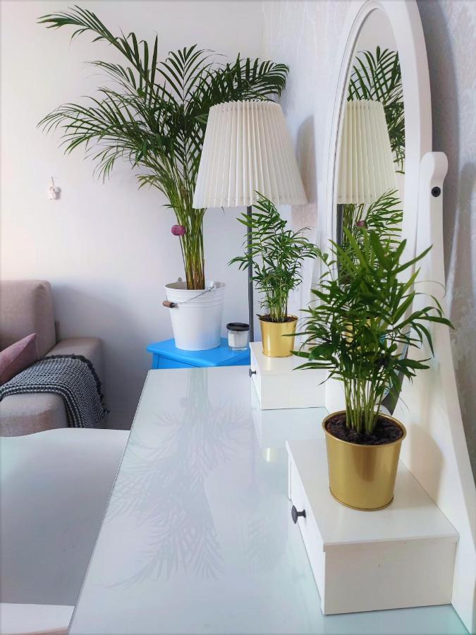 Apartment With Spacious Terrace Villa Floramy Opatija Buitenkant foto